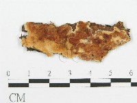 登錄號:F0009559藏品圖，第1張