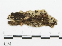 登錄號:F0009559藏品圖，第3張