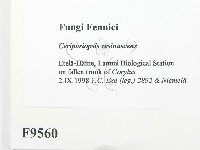 登錄號:F0009560藏品圖，第2張