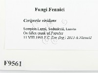 登錄號:F0009561藏品圖，第2張