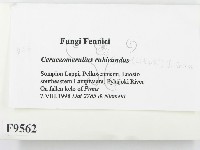 登錄號:F0009562藏品圖，第2張