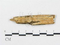 登錄號:F0009562藏品圖，第1張