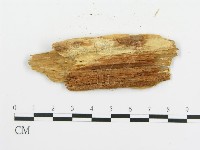 登錄號:F0009563藏品圖，第3張