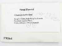 登錄號:F0009564藏品圖，第2張