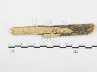 登錄號:F0009564藏品圖，第1張