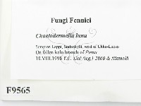 登錄號:F0009565藏品圖，第2張