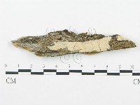 登錄號:F0009565藏品圖，第1張