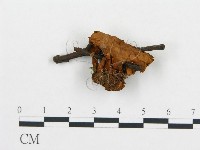 登錄號:F0009566藏品圖，第3張