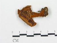 登錄號:F0009567藏品圖，第1張