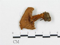 登錄號:F0009567藏品圖，第3張