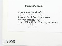 登錄號:F0009568藏品圖，第2張