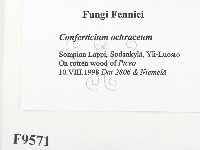 登錄號:F0009571藏品圖，第2張