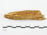 登錄號:F0009571藏品圖，第3張