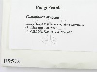 登錄號:F0009572藏品圖，第2張