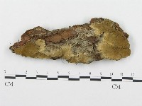 登錄號:F0009572藏品圖，第1張