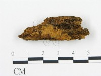 登錄號:F0009573藏品圖，第1張