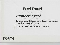 登錄號:F0009574藏品圖，第2張