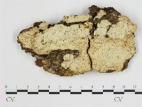 登錄號:F0009574藏品圖，第1張