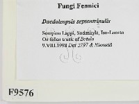 登錄號:F0009576藏品圖，第2張