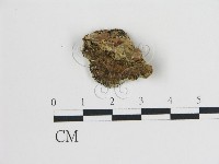 登錄號:F0009576藏品圖，第3張