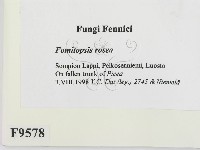 登錄號:F0009578藏品圖，第2張