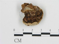 登錄號:F0009578藏品圖，第3張