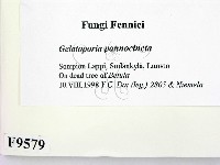 登錄號:F0009579藏品圖，第2張