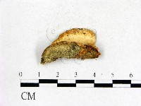 登錄號:F0009579藏品圖，第1張