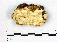 登錄號:F0009580藏品圖，第1張