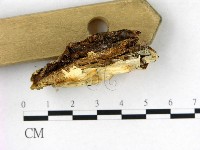 登錄號:F0009580藏品圖，第3張