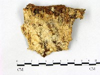 登錄號:F0009581藏品圖，第3張