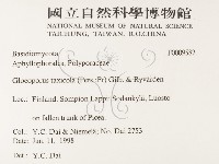登錄號:F0009582藏品圖，第2張