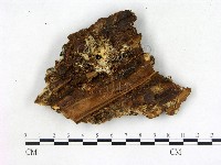 登錄號:F0009582藏品圖，第4張