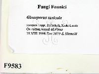 登錄號:F0009583藏品圖，第2張