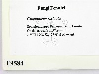 登錄號:F0009584藏品圖，第2張
