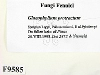 登錄號:F0009585藏品圖，第2張