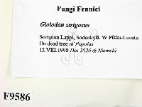 登錄號:F0009586藏品圖，第2張