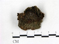 登錄號:F0009586藏品圖，第1張