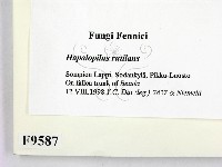 登錄號:F0009587藏品圖，第2張