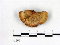 登錄號:F0009588藏品圖，第1張