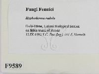 登錄號:F0009589藏品圖，第2張