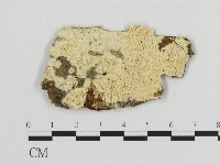 登錄號:F0009589藏品圖，第1張