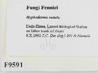 登錄號:F0009591藏品圖，第2張