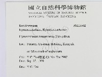 登錄號:F0009592藏品圖，第2張