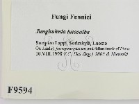 登錄號:F0009594藏品圖，第2張