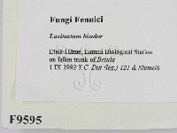 登錄號:F0009595藏品圖，第2張