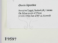 登錄號:F0009597藏品圖，第2張