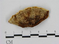 登錄號:F0009597藏品圖，第3張