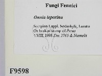 登錄號:F0009598藏品圖，第2張