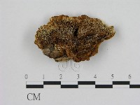 登錄號:F0009598藏品圖，第1張